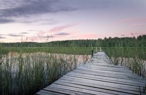 Mökkikaupassa on ostajan markkinat